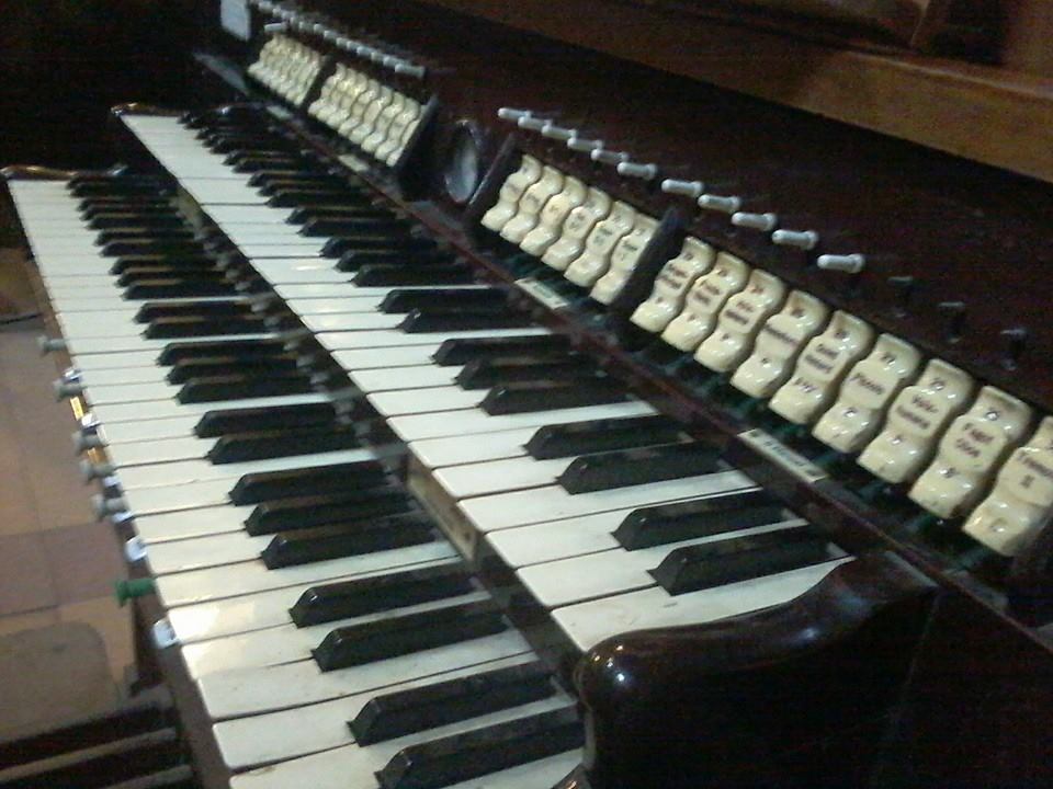 2.6)eorgan console egypt mousky